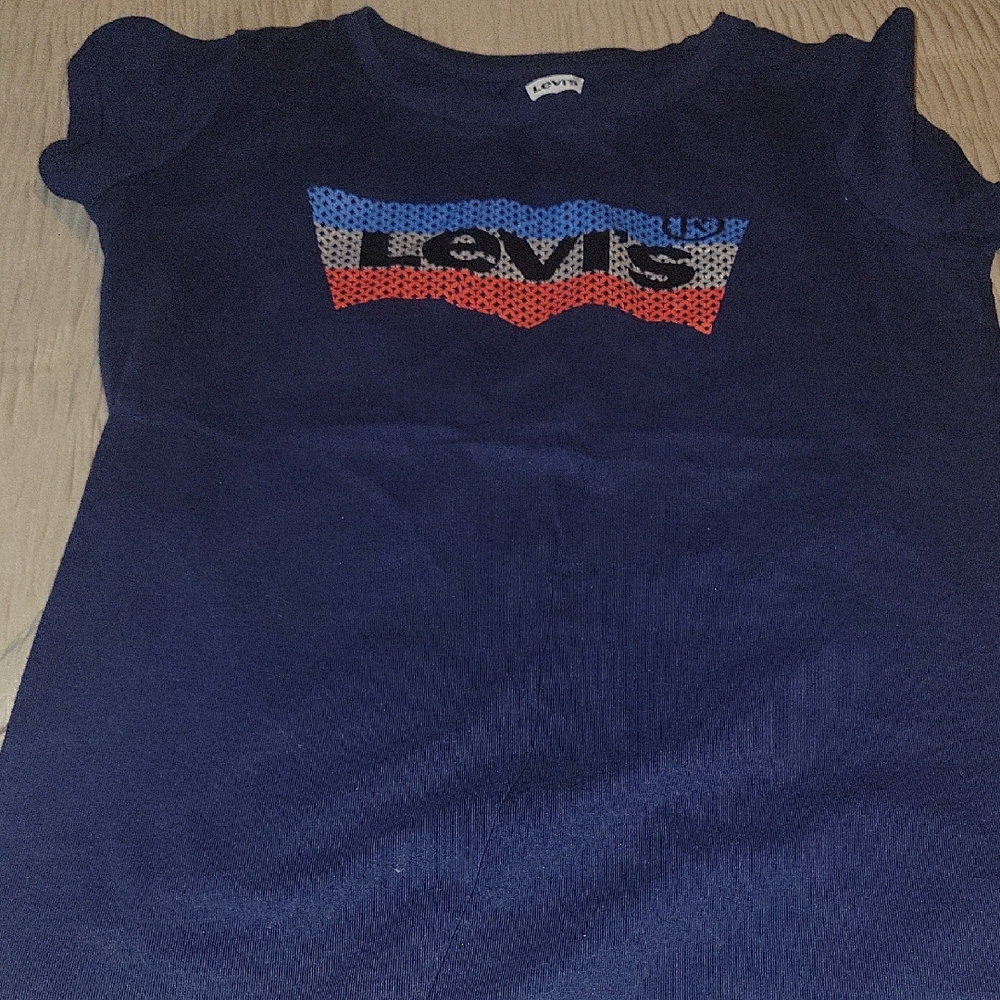 Levi's Kids Blue Graphic Tee